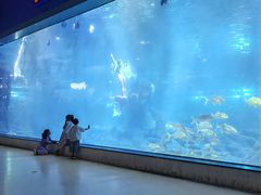 -福州罗源湾海洋世界旅游区