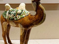 -深圳博物馆(古代艺术馆)