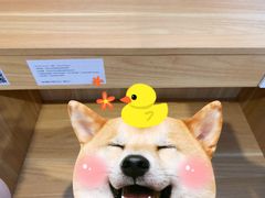 -专壹·智能24小时自习室(宝体店)