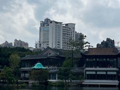 -荔湾湖公园
