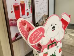 -奈雪的茶(市百一店)