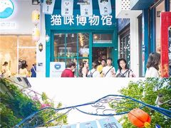 -猫咪博物馆(顶澳仔猫街店)