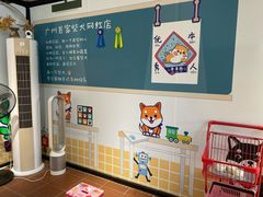 -柴犬高等学院·狗咖·柴犬售卖·宠物训练