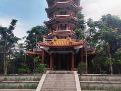 -深圳仙湖植物园