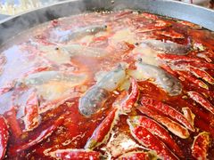 -水哥卜卜贝(东晓·胜汇里店)