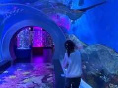 -顺德南宏海立方海洋公园