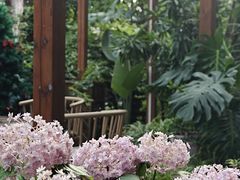 -谷咖啡·鲜花绿植花园餐厅