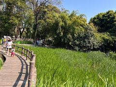 -成都市活水公园