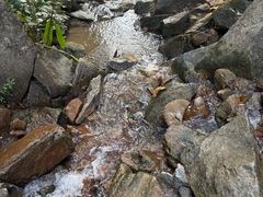 -火炉山森林公园