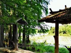 -东湖落雁景区