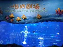 -西安曲江海洋极地公园