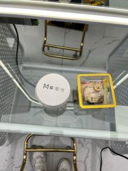 -魔型社