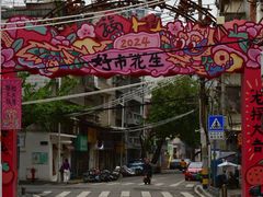 -溪岸路花鸟市场