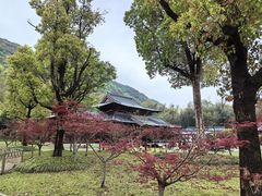 -兰亭风景区