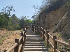 -白水寺森林公园