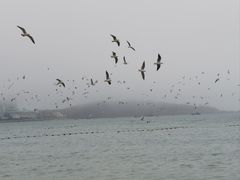 -青岛第一海水浴场
