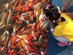 -北戴河圣蓝海洋公园