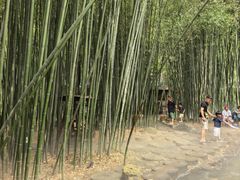 -竹泉村旅游度假区