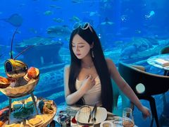 -亚特兰蒂斯•OSSIANO奥西亚诺海底餐厅