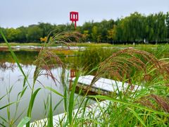 -中关村生命科学园