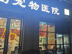 -半岛宠物医院24小时·内窥镜·牙科·碎石中心(府城大道店)