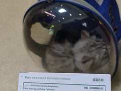 -芭比堂动物医院广州顽皮分院