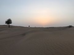 -携程旅游(中山公园旗舰店)