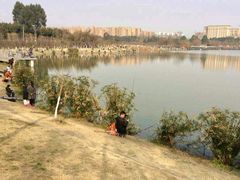 -白鹭湾湿地公园