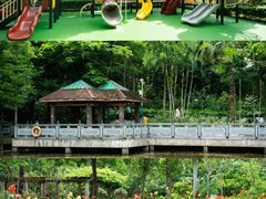 -阳台山森林公园