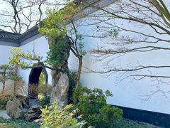 -上海醉白池公园