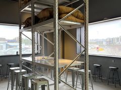 -来回·咖啡(钟村咖啡豆店)