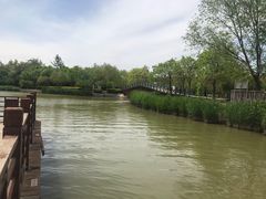 -塘沽森林公园