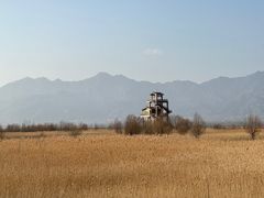 -野鸭湖国家湿地公园