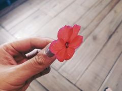 -Ohkajhu Organic Farm Sansai