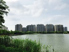 -南翔镇银翔湖公园