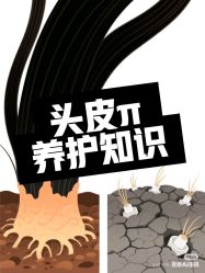 -Bollins波林丝•专研护发中心