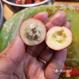 山楂的华丽变身之-山楂糕