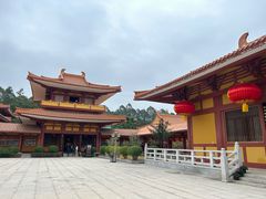 -三水森林公园