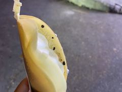 -谢老五跷脚牛肉·非遗传承店
