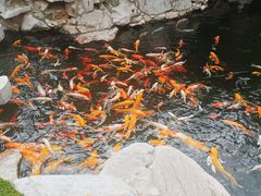 -下海庙