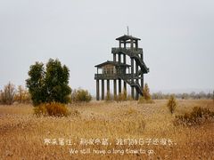 -野鸭湖国家湿地公园