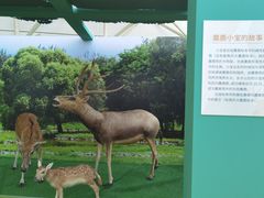 -天津自然博物馆