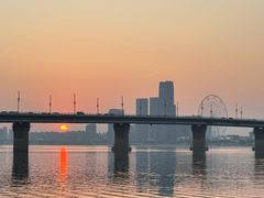 -九龙湖公园