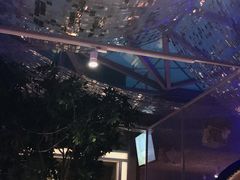 -维苏唯披萨(青云街店)