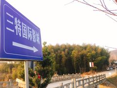 -崇阳三特浪口温泉
