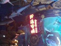 -烟台海昌鲸鲨海洋公园