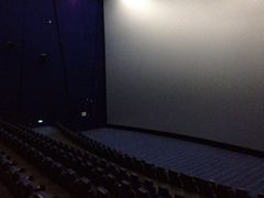 中影国际影城-中影国际影城(神农万达广场CINITY店)
