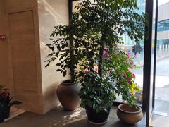 -固元堂(姚江里分院)