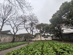 -绍兴鲁迅故里·沈园景区