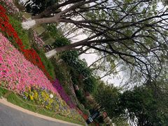 -东莞植物园